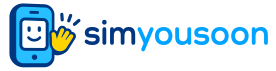 SimYouSoon